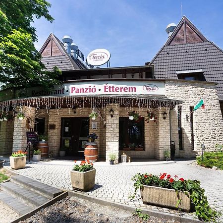 ショプロン Tercia Hubertus Panzio Bed & Breakfast エクステリア 写真