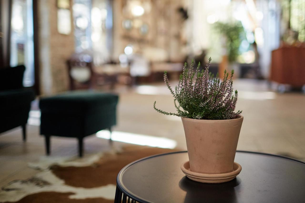 ショプロン Tercia Hubertus Panzio Bed & Breakfast エクステリア 写真