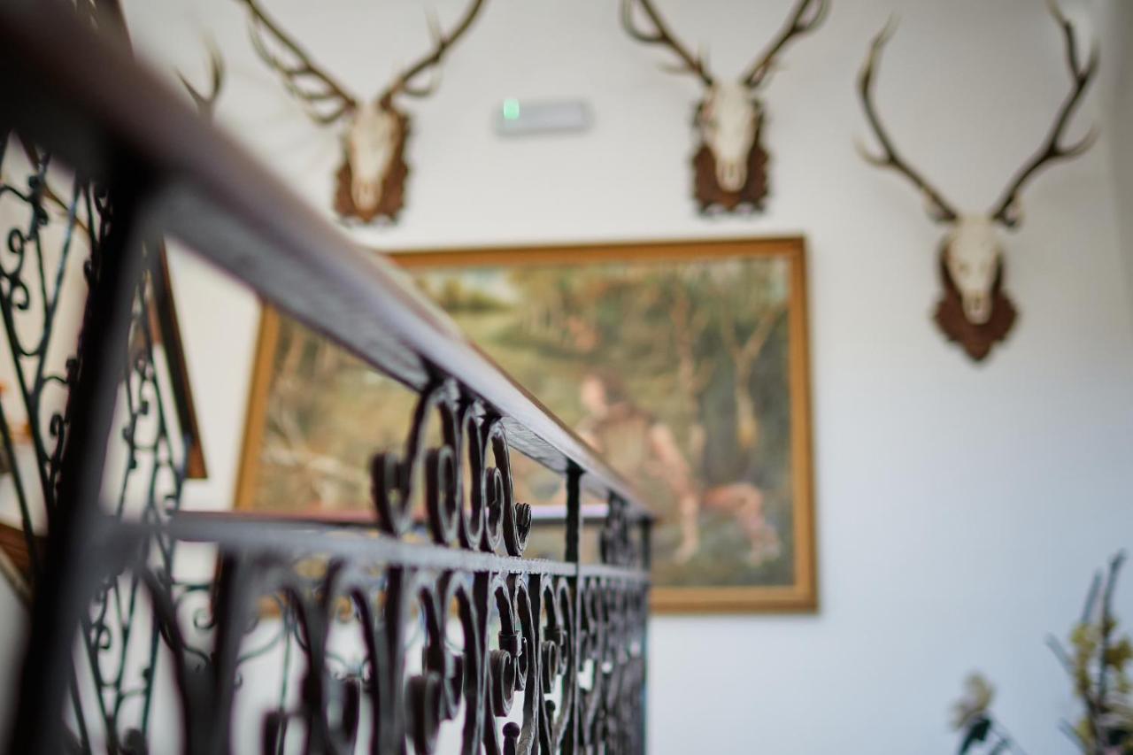 ショプロン Tercia Hubertus Panzio Bed & Breakfast エクステリア 写真