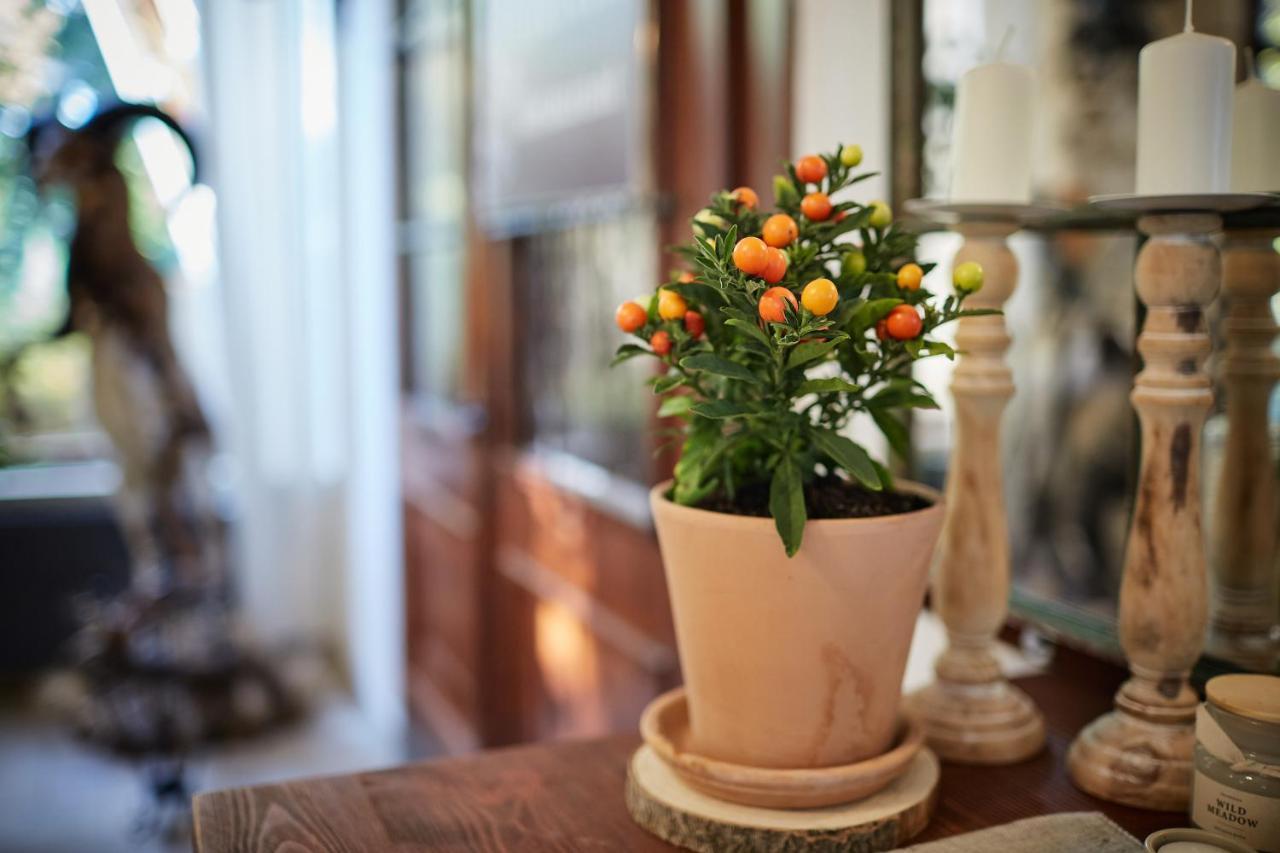 ショプロン Tercia Hubertus Panzio Bed & Breakfast エクステリア 写真