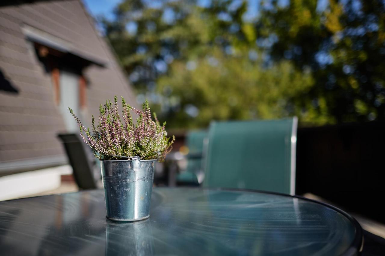 ショプロン Tercia Hubertus Panzio Bed & Breakfast エクステリア 写真