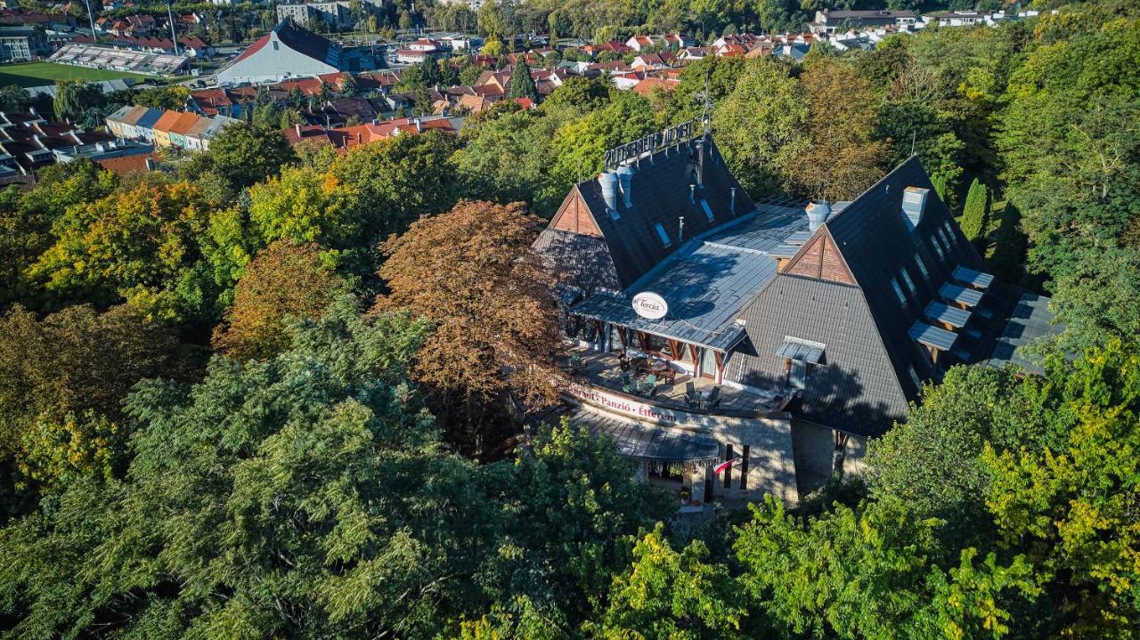 ショプロン Tercia Hubertus Panzio Bed & Breakfast エクステリア 写真