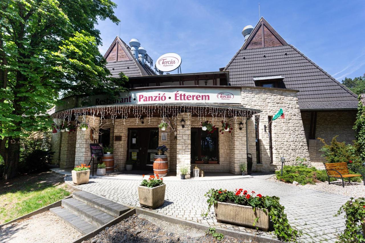 ショプロン Tercia Hubertus Panzio Bed & Breakfast エクステリア 写真